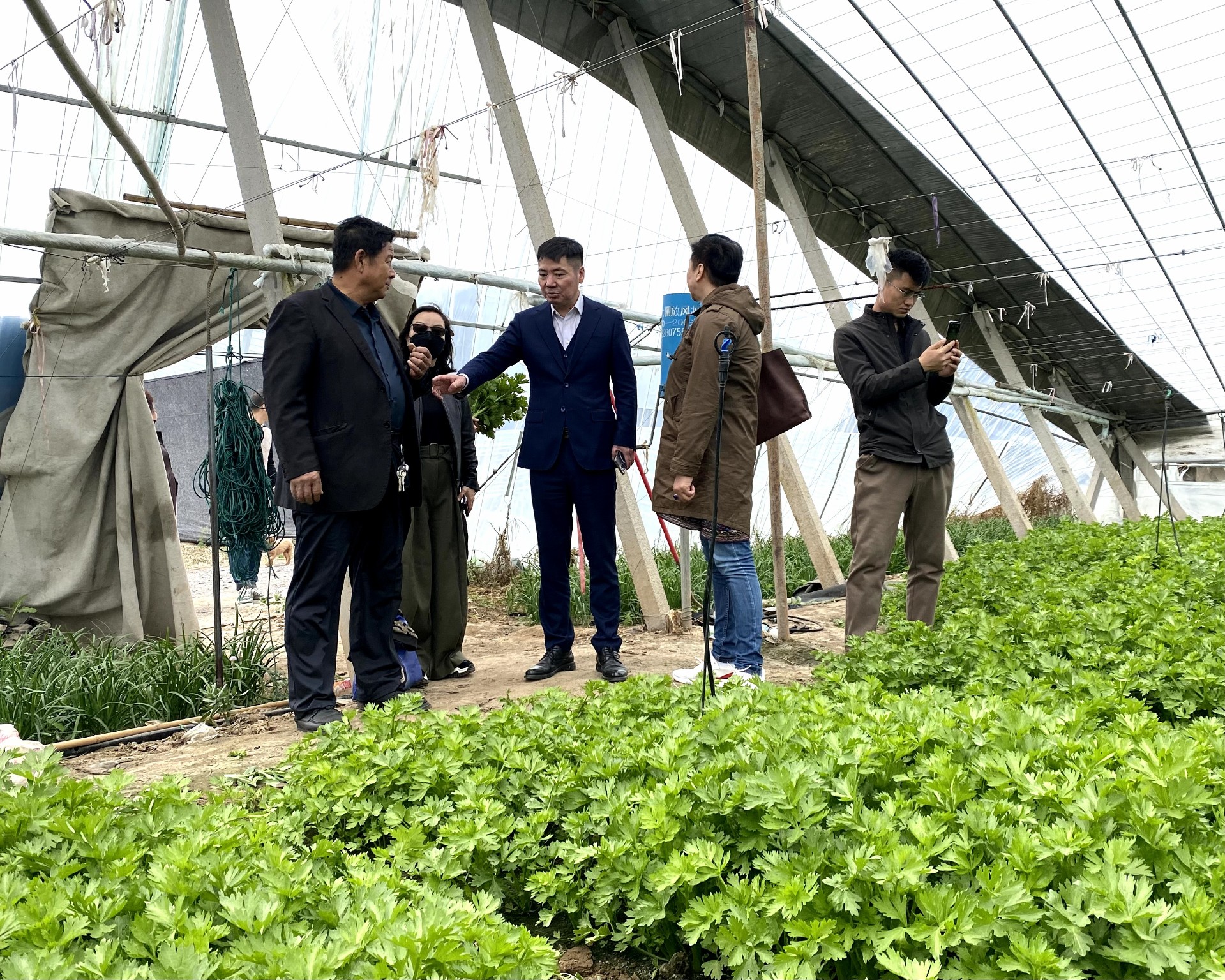 花卉大興調查.jpg